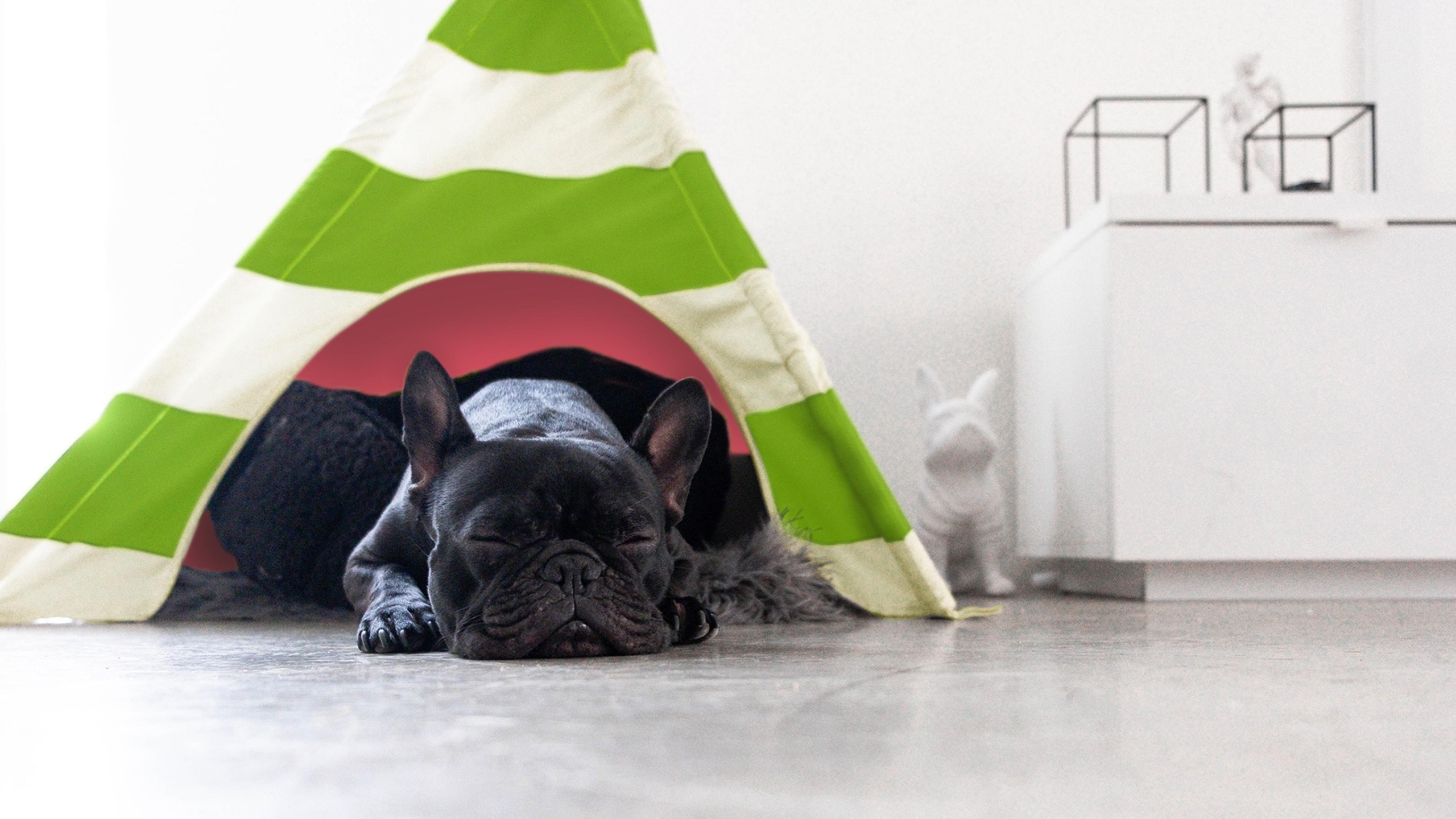 05_SH-CaseStudy_Twister_Teepee